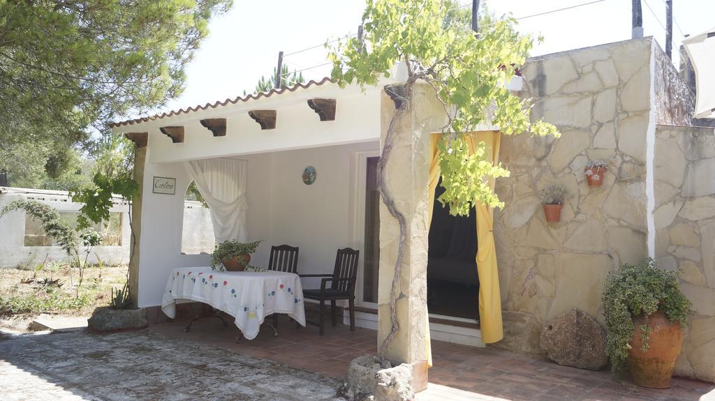 El Campus Villa Alaior Ruang foto